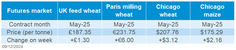 Global grain futures 09 12 202472